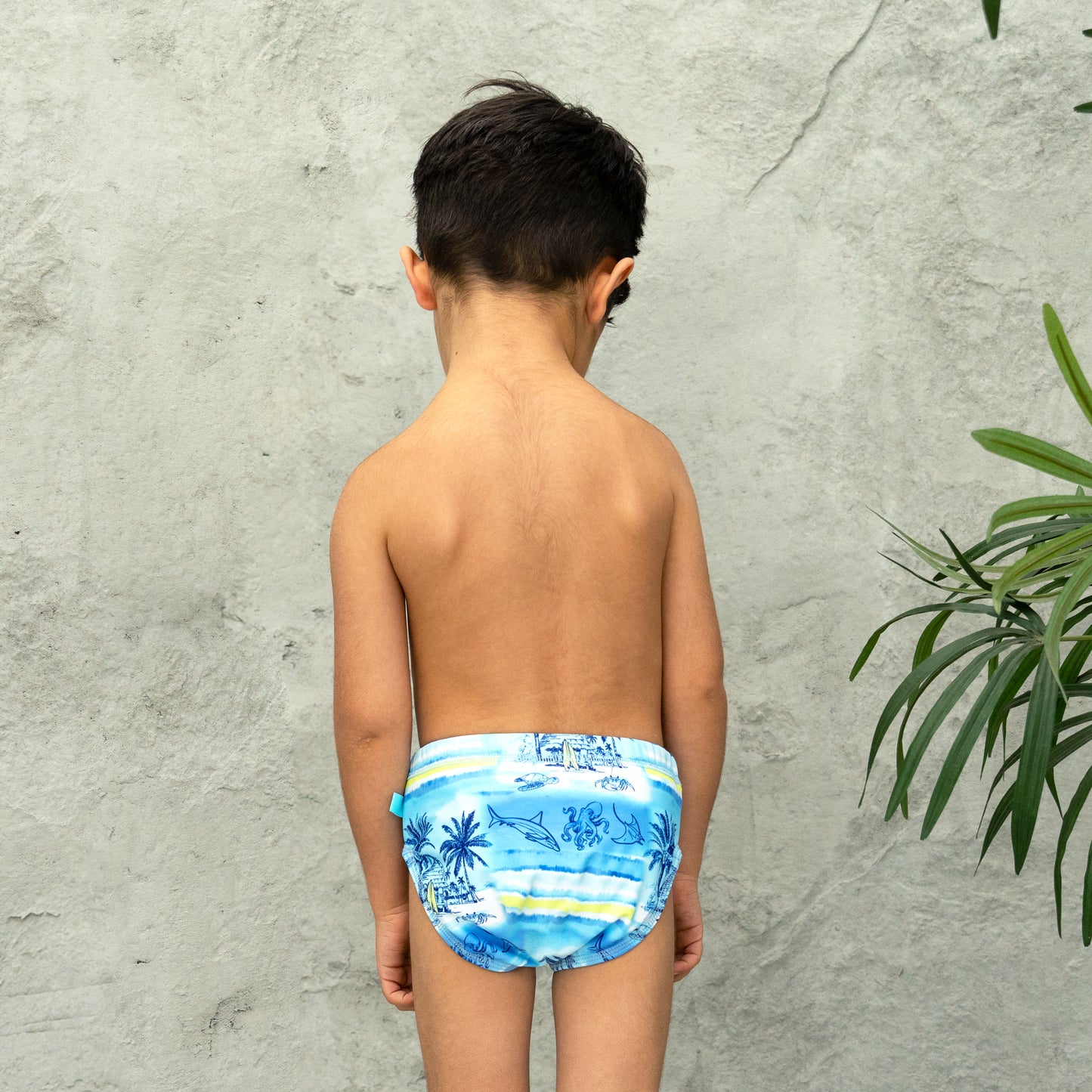 412 Shipwrecked Swim Pant