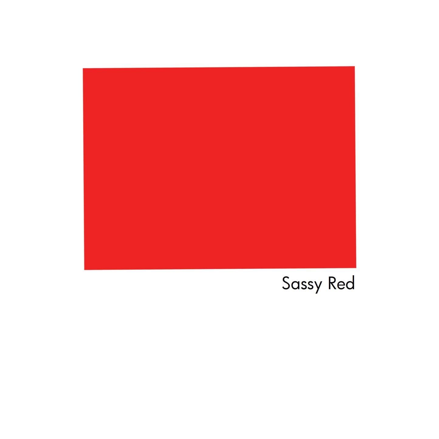 226 Avalon Angel Jumpsuit - Salty Ink